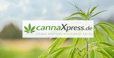 cannaxpress (Palmen Apotheke-Brückenhof, Kassel)