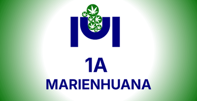 1A Marienhuana Karlsruhe (Marien Apotheke, Karlsruhe)