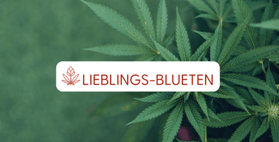Lieblings-Blueten (Löwen Apotheke, Gießen)