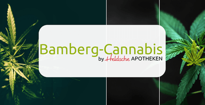 Bamberg Cannabis (Brücken Apotheke)