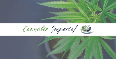 Cannabis Imperial (Imperial Apotheke, Herbrechtingen)