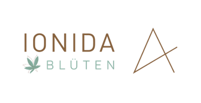 Ionida Blüten (Jordan-Apotheke, Biberach)