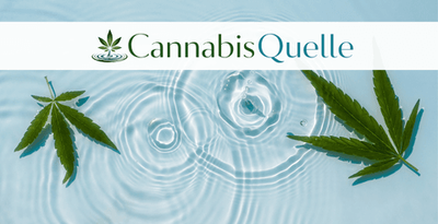 CannabisQuelle (Apotheke im Brandenburger Einkaufszentrum, Brandenburg)