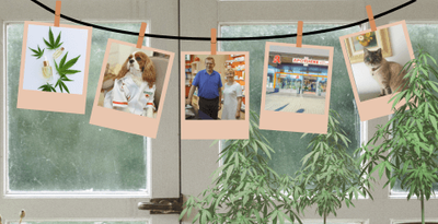 Cannabis-Otto-Apotheke (Apotheke im Otto-Hirsch-Center, Stuttgart)